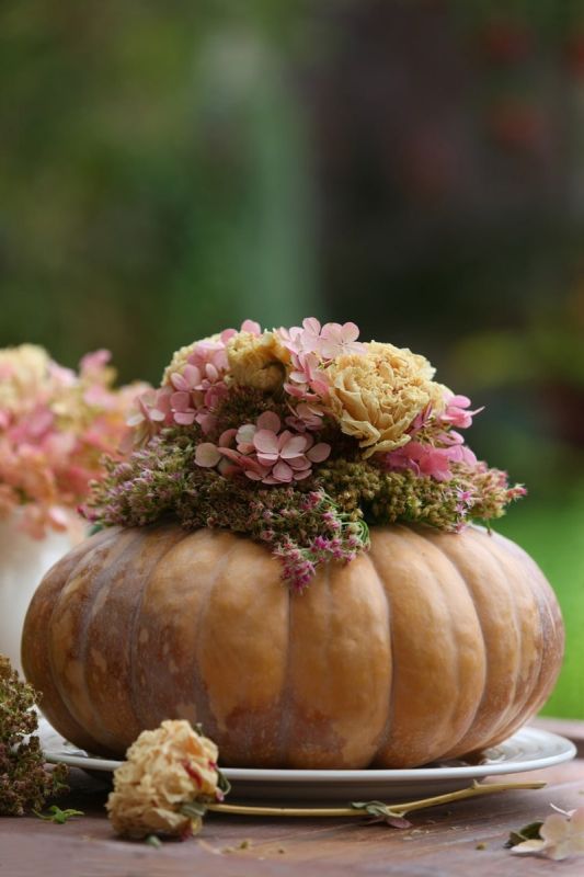 ������� �������: ��� ������� � ���� ��� ������ ����� � ������ �������