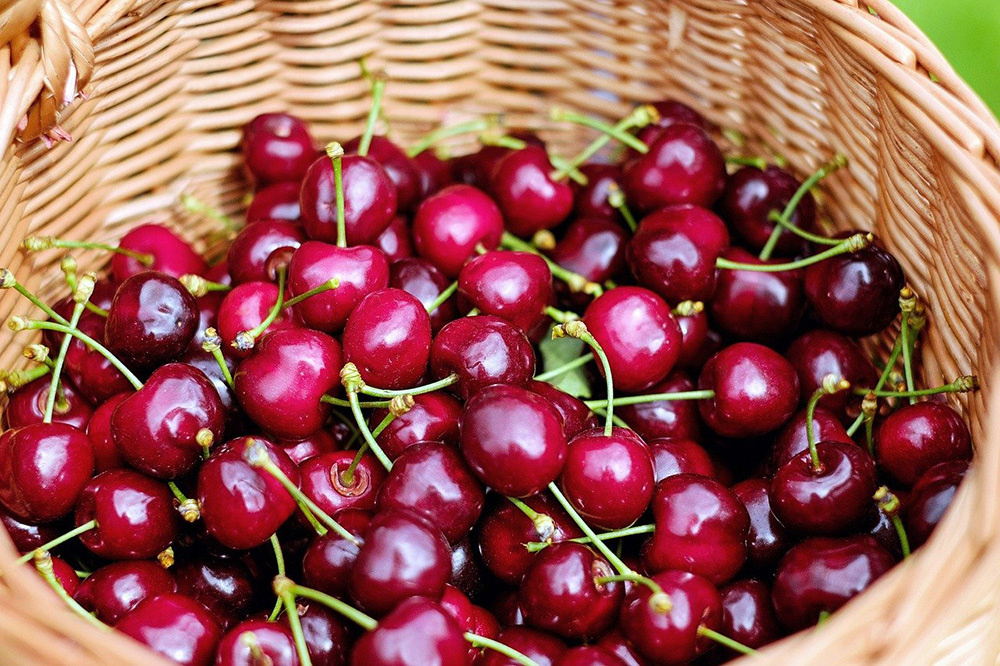 Вишня и черешня: как выбрать между кислинкой и сладостью