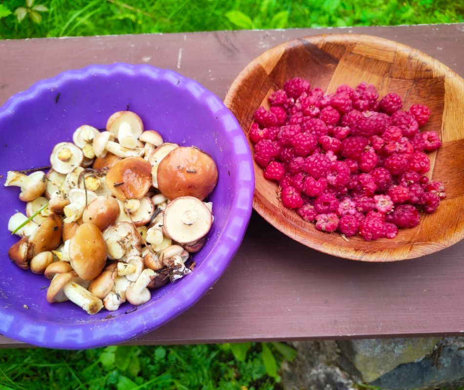 Утро на даче: простые радости и кулинарные находки июля