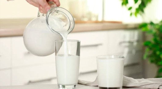 Секреты крепости костей: 7 удивительных продуктов с высоким содержанием кальция