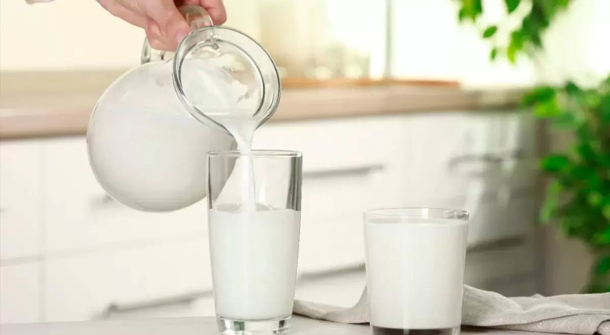 Секреты крепости костей: 7 удивительных продуктов с высоким содержанием кальция