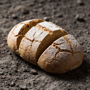 Хлеб, который стал символом надежды в окопах Сталинграда