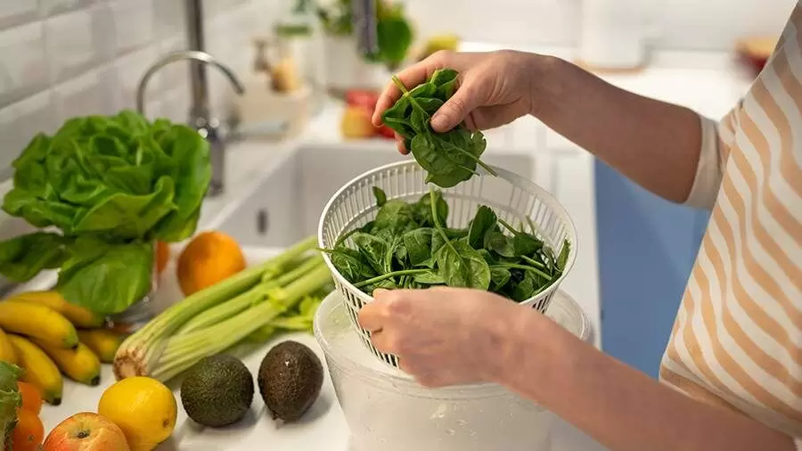 Веганская диета значительно снижает углеродный след