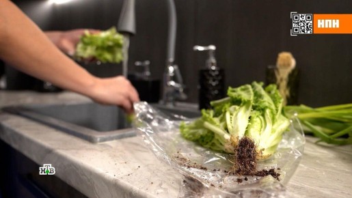 Как правильно мыть овощи и фрукты: полезные советы от экспертов