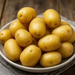 Летние угощения из свежих овощей: бюджетные рецепты июня