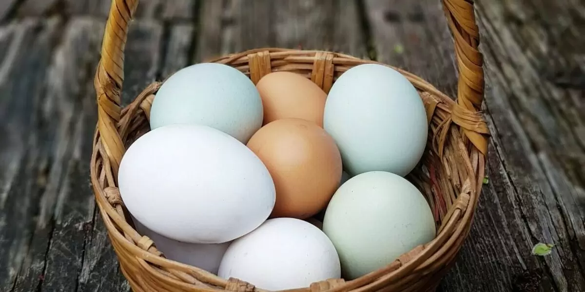 Как правильно хранить куриные яйца: советы для свежести и безопасности