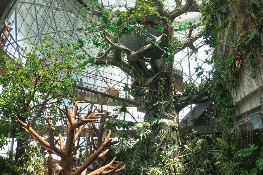 ����� �������� � ������ �����