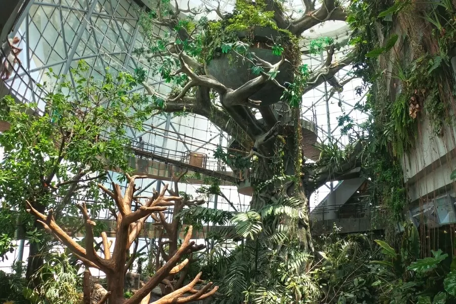 Оазис тропиков в сердце Дубая