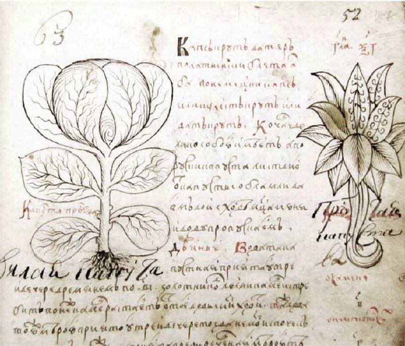 ��������� ��������: ��� ������� �������� ���� ���������� ����