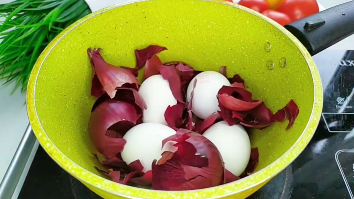 ����� ������ �� ���������� ���������: ��� ����������� ���� ���������