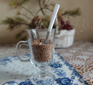 Кориандр и кинза: как одно растение вызывает разные эмоции