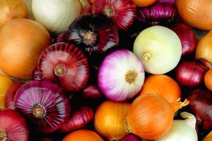 ������� ����������: �������, �� ������� ������ �����