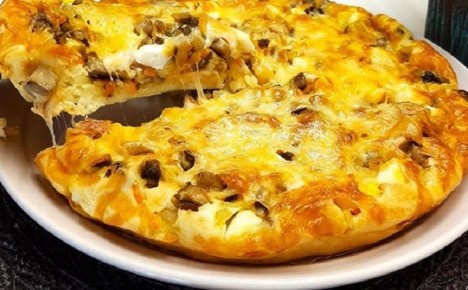 ������������ ����� �� ���������: ���� ������ ��� �������