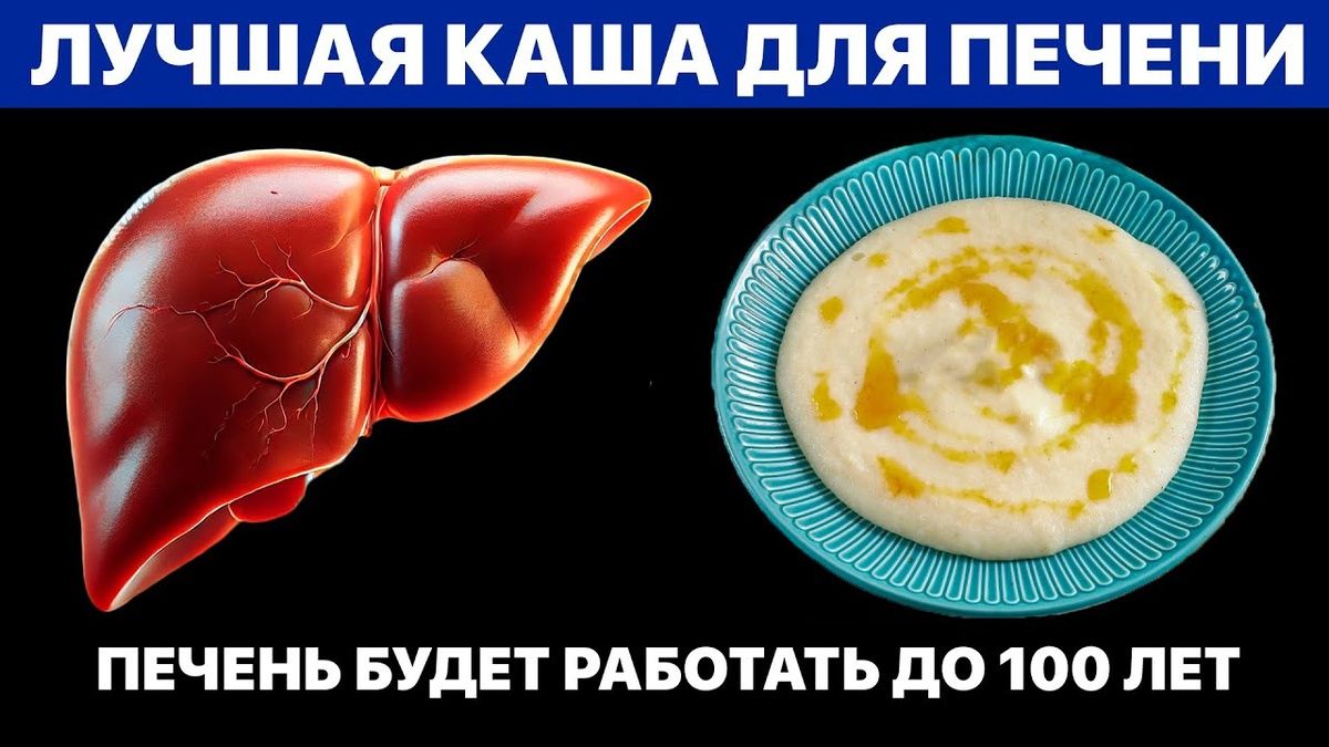 Каши на столе: как они влияют на печень и пищеварение в 2026 году