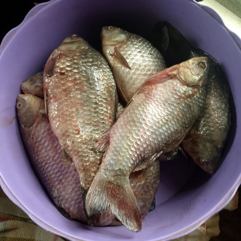 Цимлянские карасики: домашние вкусности из Подмосковья