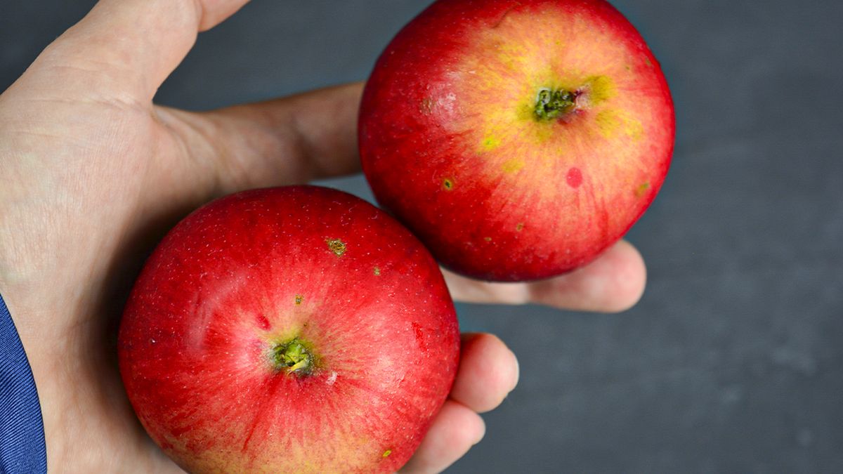 Непревзойденный яблочный пирог за пять минут: просто, быстро и вкусно