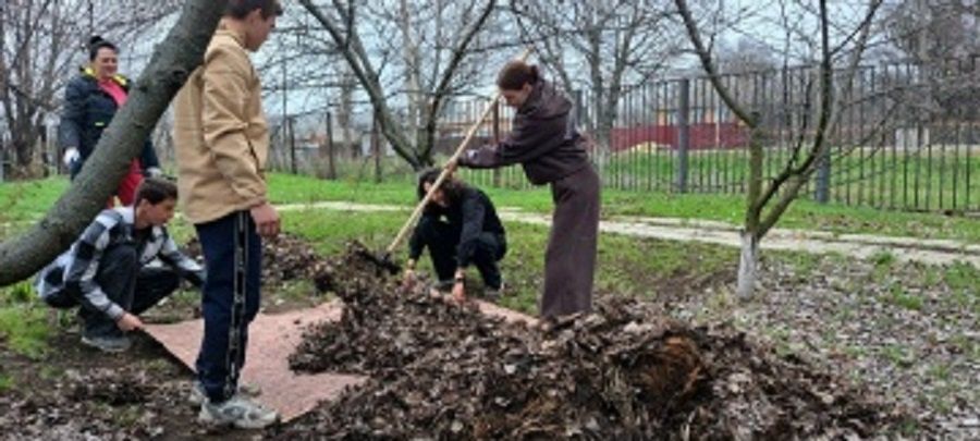 Эффективная обработка клубней картофеля: как избавиться от колорадского жука на весь сезон