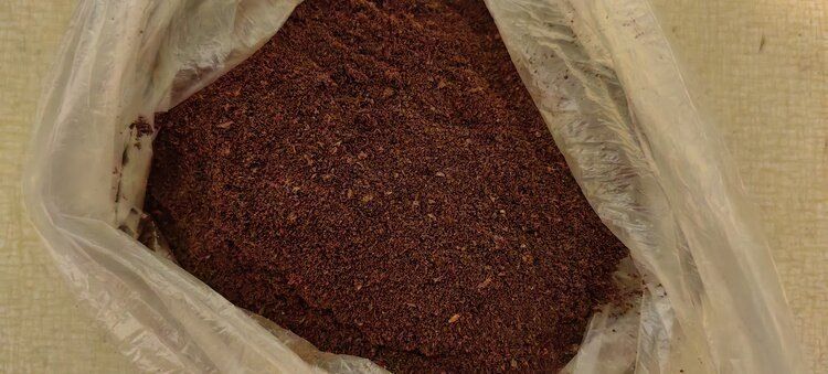 Кофейная гуща: новый способ борьбы с комарами? Эксперт делится мнением