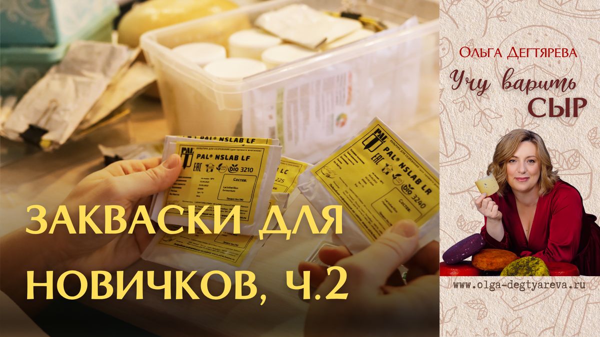 Как выбрать закваски для сыра: советы для начинающих сыроделов