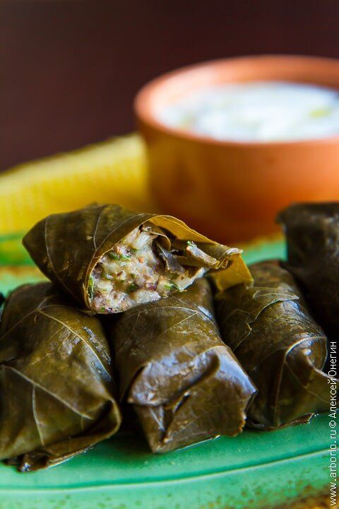Вегетарианская долма: удивительный рецепт без мяса